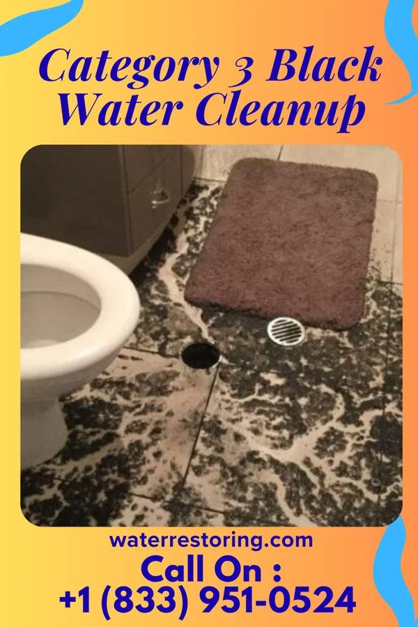 Category 3 Black Water Cleanup in Nicholls, GA